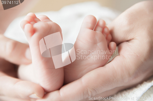 Image of Parent holding his newborn baby\'s feet 