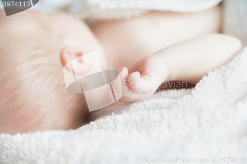 Image of Sleeping newborn baby covered with white blanket.