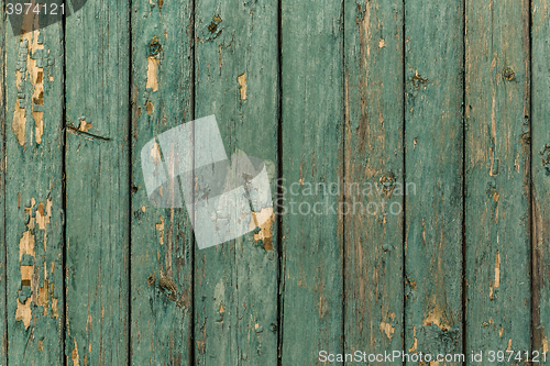 Image of Old wood texture with peeling green paint