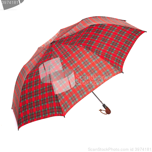 Image of The checkered umbrella isolated against white background