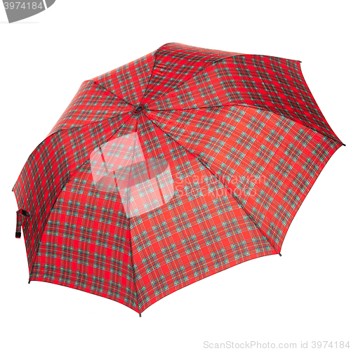 Image of The checkered umbrella isolated against white background