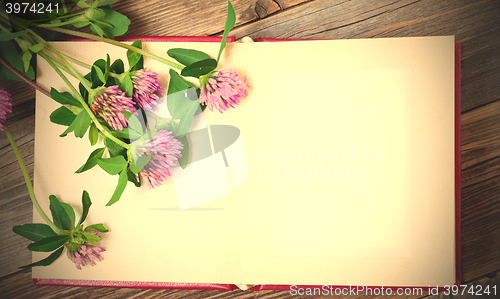 Image of blank page of the old album and flowers