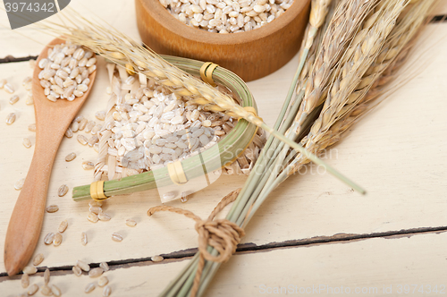 Image of organic wheat grains 