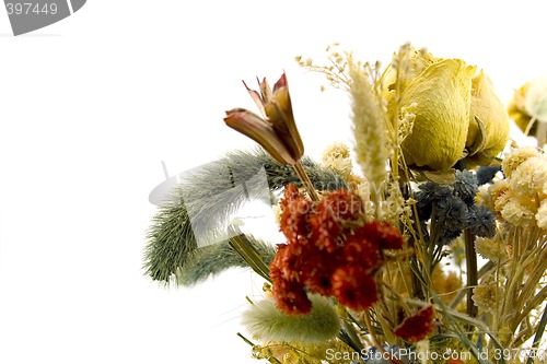 Image of dried bouquet