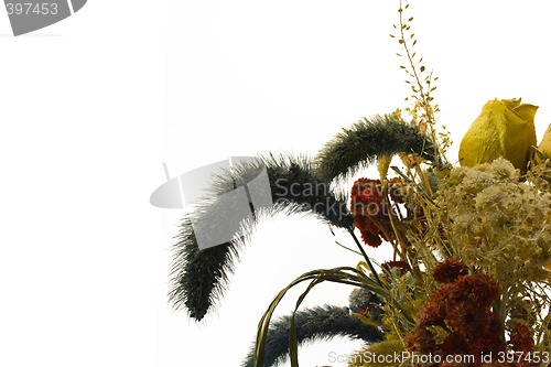 Image of dried flowers