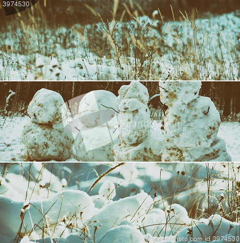 Image of Winter scene