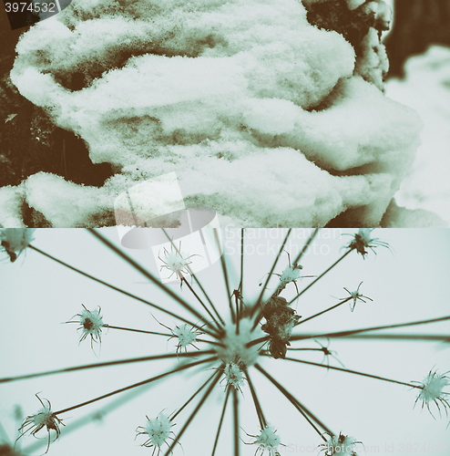 Image of Winter scene