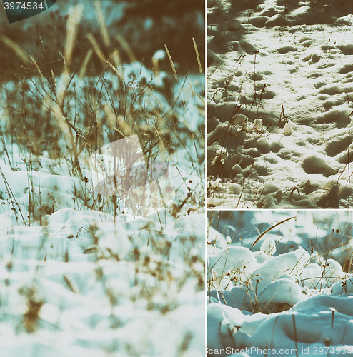 Image of Winter scene