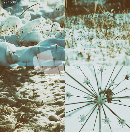 Image of Winter scene