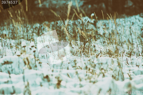 Image of Winter scene