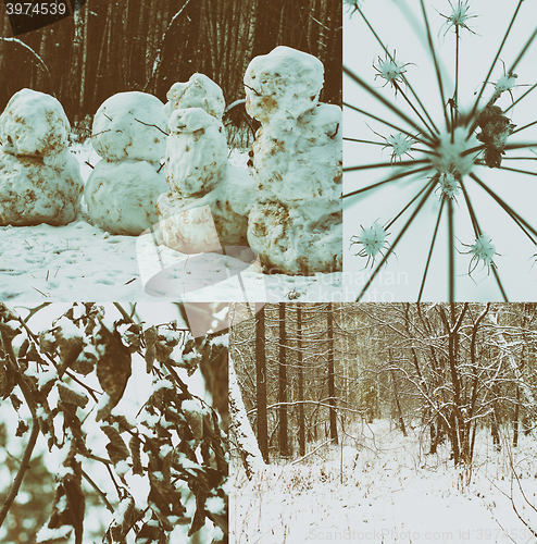 Image of Winter scene
