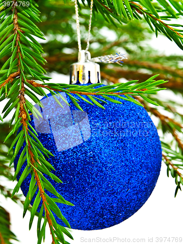 Image of New Year Toy