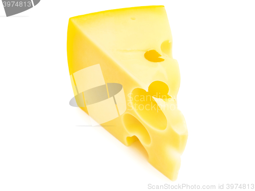 Image of Cheese
