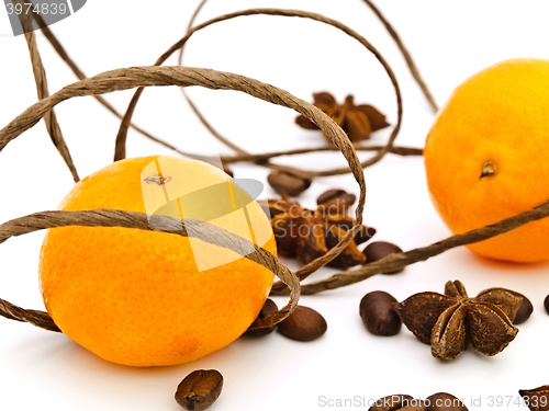 Image of Mandarines 