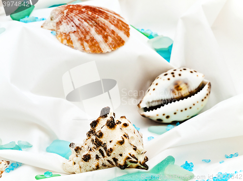 Image of Marine Decor