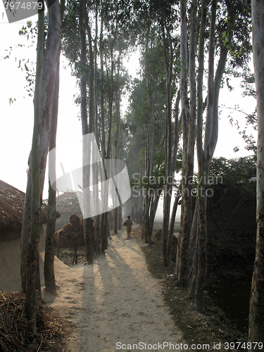 Image of Bengali village