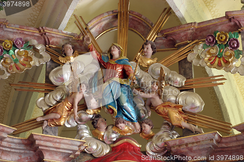 Image of 