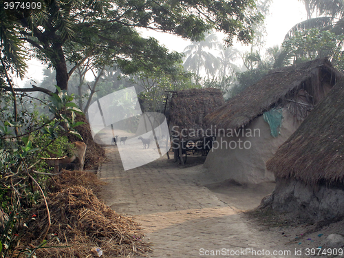 Image of Bengali village