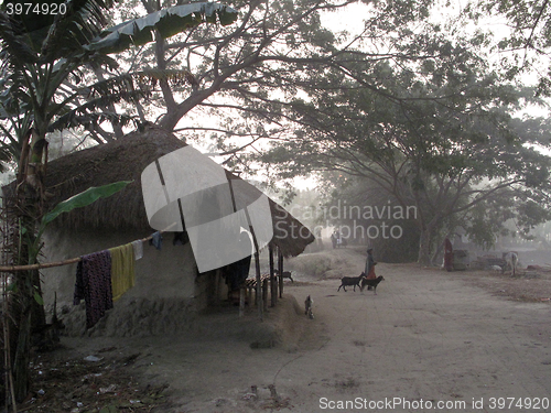 Image of Bengali village