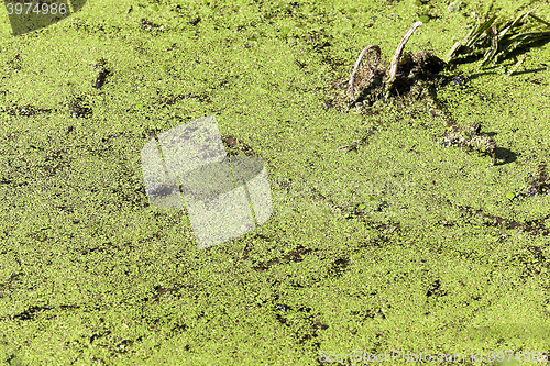 Image of moorland, summer time  