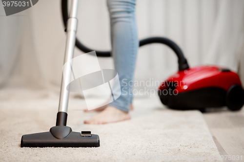 Image of Woman doing house cleaning, vacuuming carpet with thick pile