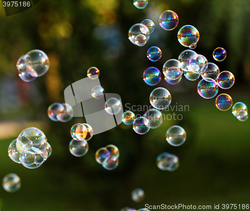 Image of Soap bubbles