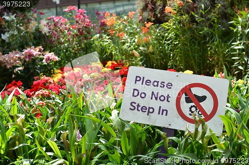 Image of Please do not step in sign in Gardens by the Bay