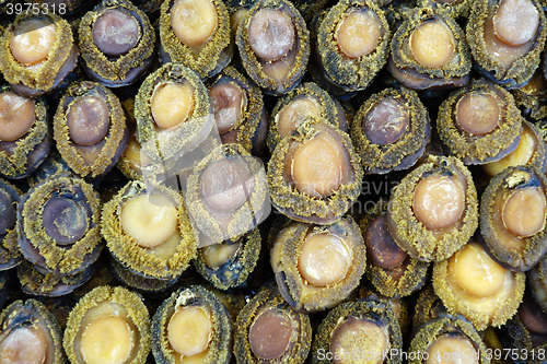 Image of Dried abalone