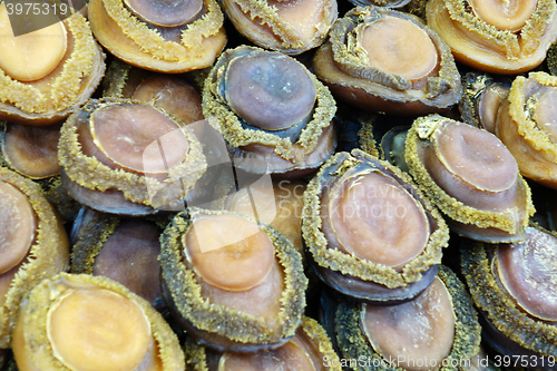 Image of Dried abalone