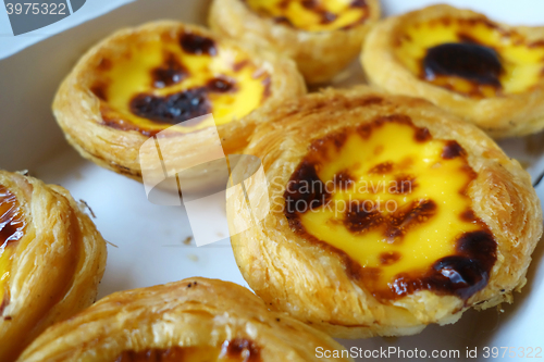 Image of Egg tart