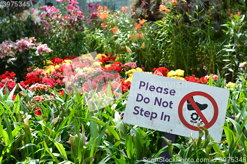 Image of Please do not step in sign in Gardens by the Bay