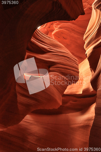 Image of Antelope Slot Canyon of the Navajo in Arizona USA