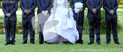 Image of Bride and 6 Groomsmen Lined up Outdoors on Green Grass