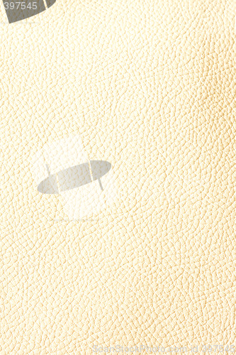 Image of Leather beige