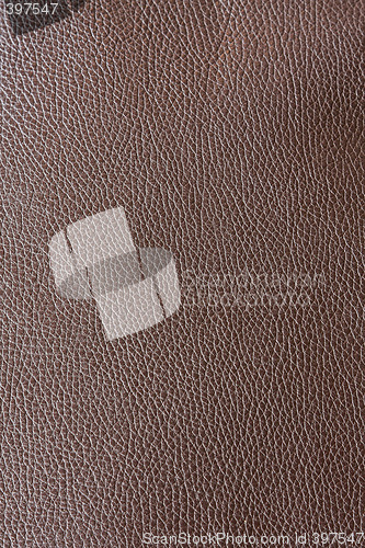 Image of Leather brown