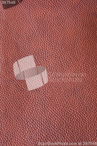 Image of Leather burgundy