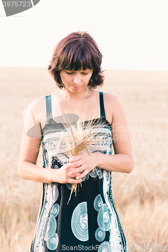 Image of Middle aged beauty woman in barley field