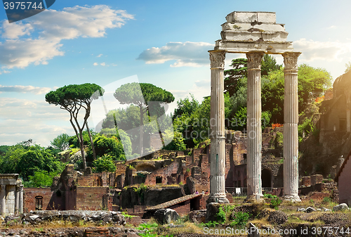 Image of Roman Forum, Italy