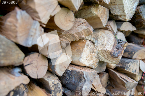 Image of dry chopped firewood logs in a pile