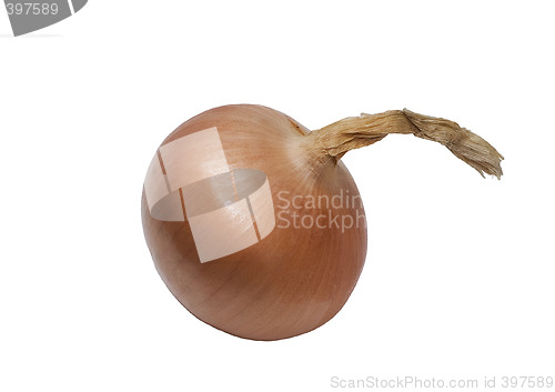 Image of onion