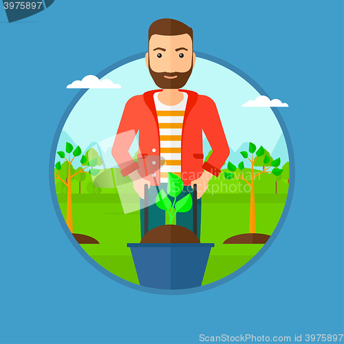 Image of Man pushing wheelbarrow with plant.