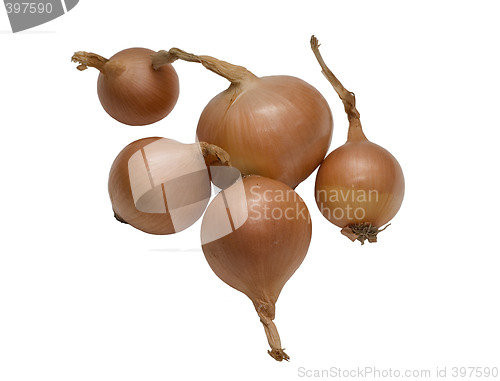 Image of onions