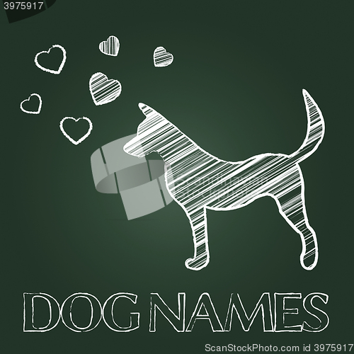Image of Dog Names Represents Puppy Purebred And Identity