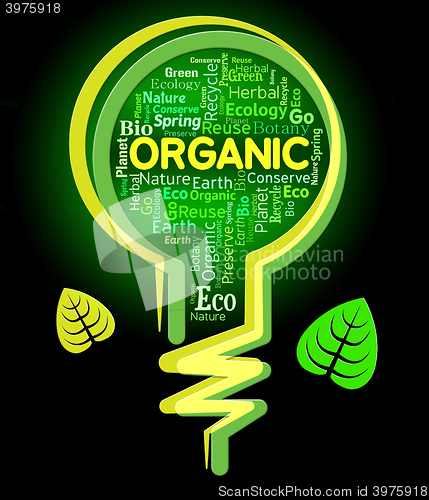 Image of Organic Lightbulb Represents Nature Rural And Environmental