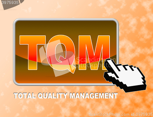 Image of Tqm Button Indicates Total Quality Management And Control