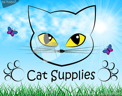 Image of Cat Supplies Means Pedigree Cats And Goods