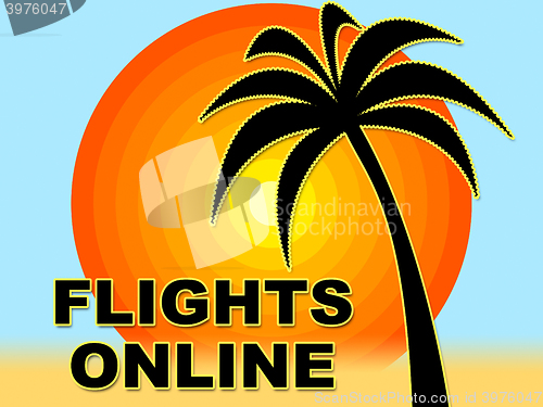 Image of Flights Online Means Web Site And Aircraft