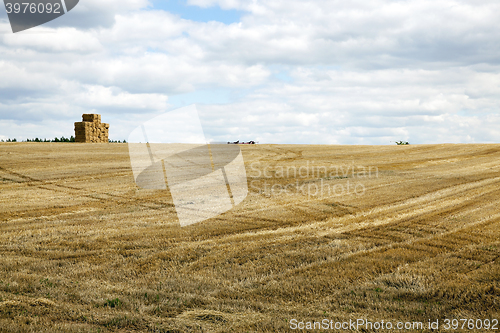 Image of stack of wheat straw  