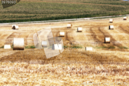 Image of haystacks in a field of straw  