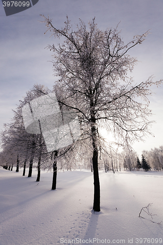 Image of Winter Park  with snow.